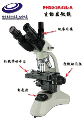 鳳凰PH50-3A43L-A生物顯微鏡 可擴展的多功能光學成像平臺