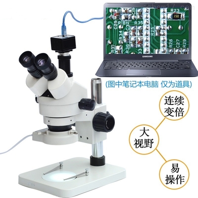探索微觀世界的窗口 顯微鏡的科學與應用